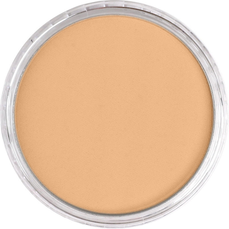 PanPastel 27107 Artist Pastel Raw Sienna Light Pan