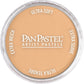 PanPastel 27107 Artist Pastel Raw Sienna Light Pan