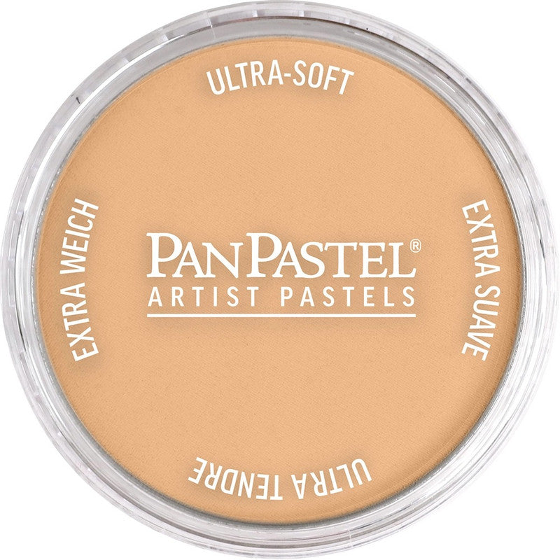 PanPastel 27107 Artist Pastel Raw Sienna Light Pan