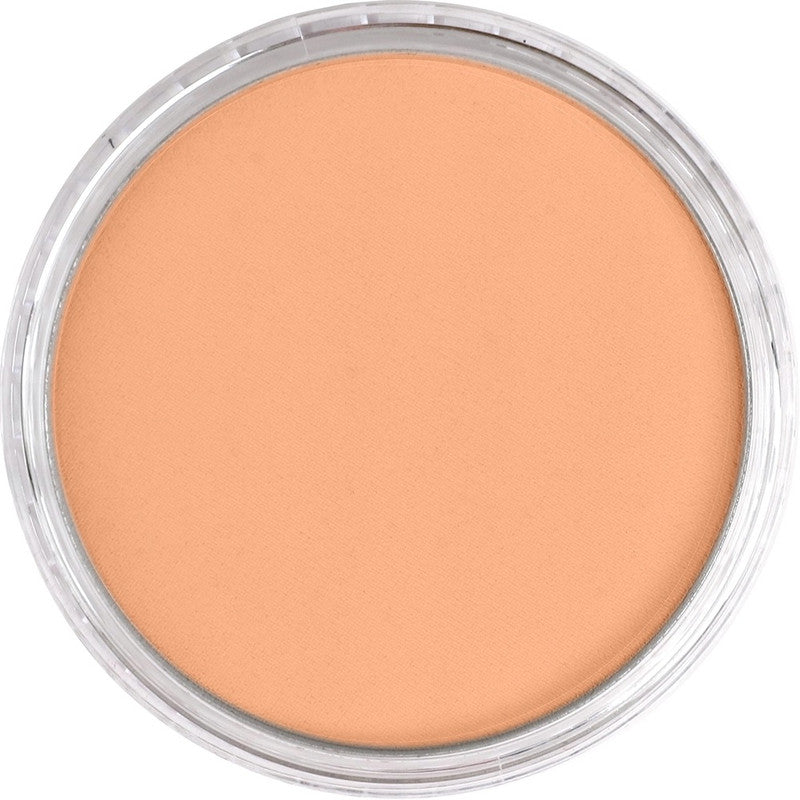 PanPastel 27407 Artist Pastel Burnt Sienna Light Pan