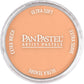 PanPastel 27407 Artist Pastel Burnt Sienna Light Pan