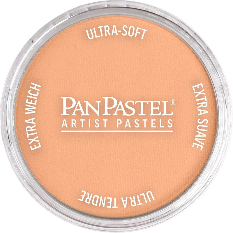 PanPastel 27407 Artist Pastel Burnt Sienna Light Pan