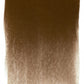 PanPastel 27605 Artist Pastel Burnt Umber Pan