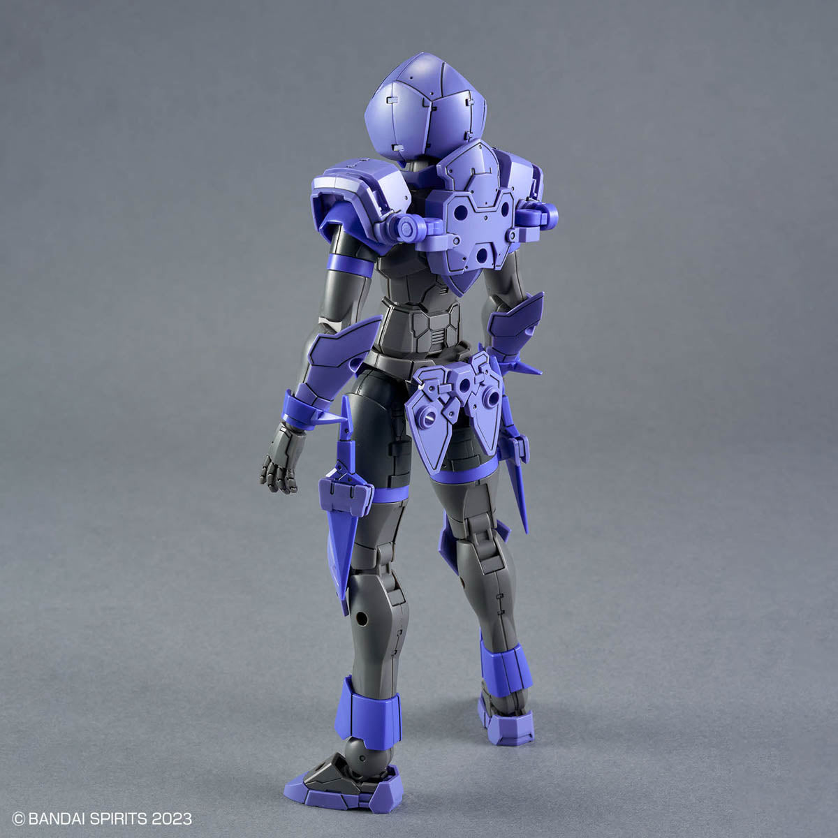 Bandai 2773773 30 Minutes Fantasy Liber Assassin Plastic Model Kit