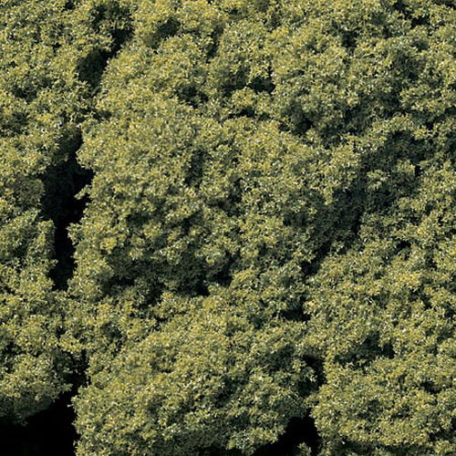 Woodland Scenics FC57 Light Green Foliage Clusters