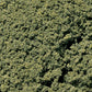 Woodland Scenics FC58 Medium Green Foliage Clusters 45 Cu. In. Bag
