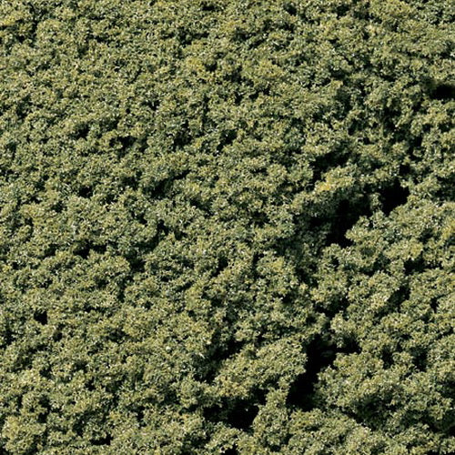 Woodland Scenics FC58 Medium Green Foliage Clusters 45 Cu. In. Bag