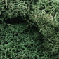 Woodland Scenics L162 Light Green Lichen 48 Oz. Bag
