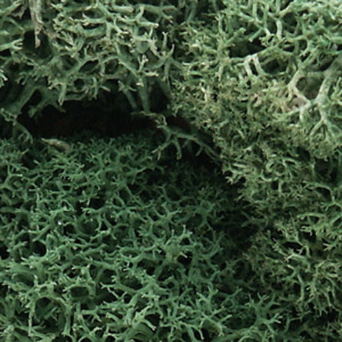 Woodland Scenics L162 Light Green Lichen 48 Oz. Bag