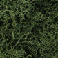 Woodland Scenics L163 Lichen Medium Green 86.6 In Cu Bag
