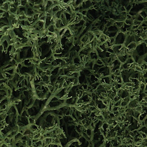 Woodland Scenics L163 Lichen Medium Green 86.6 In Cu Bag