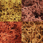 Woodland Scenics L165 Autumn Mix Lichen 48 Oz. Bag