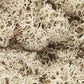 Woodland Scenics L166 Natural Lichen 1 1/2 Quart Bag