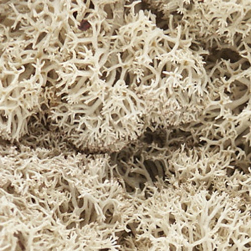 Woodland Scenics L166 Natural Lichen 1 1/2 Quart Bag