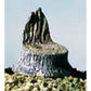 Woodland Scenics S31 Cut Tree Stumps (Pack of 14)