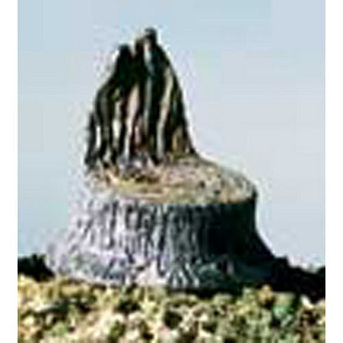 Woodland Scenics S31 Cut Tree Stumps (Pack of 14)