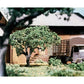 Woodland Scenics TK12 2-1/25" Ornamental Small Tree Kits (Pack of 5)