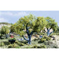 Woodland Scenics TK18 3 1/2" Double Fork Tree Kit (Pack of 2)