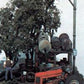Woodland Scenics M112 HO Mini-Scene Tractor Pit Stop Building Kit