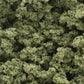 Woodland Scenics FC1634 Olive Green Underbrush Clump Foliage 32 Oz.Shaker Bottle