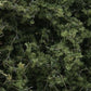 Woodland Scenics F1131 Medium Green Fine-Leaf Foliage
