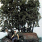 Woodland Scenics M104 HO Mini-Scene The Hunter Building Kit