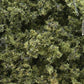 Woodland Scenics F1132 Light Green Fine-Leaf Foliage 75 Cu In