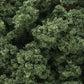 Woodland Scenics FC1646 Medium Green Bushes 32 Oz. Shaker