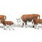 Woodland Scenics A2144 N Scale Scenic Accents Hereford Cow Figures (Set of 7)