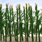 JTT Scenery Products 95512 O 2" Tall Corn Stalk Plants (Pack of 32)