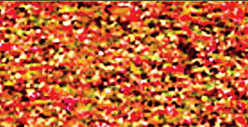 JTT Scenery Products 95055 Fine Blended Turf Late Fall 30 Cu. Bag