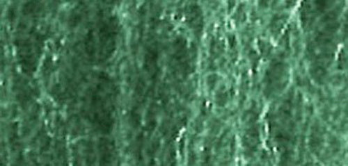 JTT Scenery Products 95068 Fine Foliage-Fiber Cluster, Dark Green