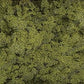 Woodland Scenics T36 60 sq. in. Light Green Grass Extra Coarse Turf Bag