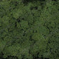 Woodland Scenics T38 Extra Course Turf Dark Green 18 Cu. In. Bag