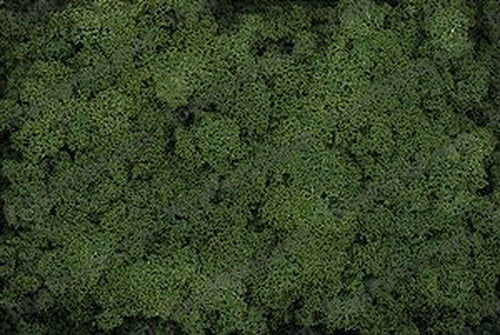 Woodland Scenics T38 Extra Course Turf Dark Green 18 Cu. In. Bag