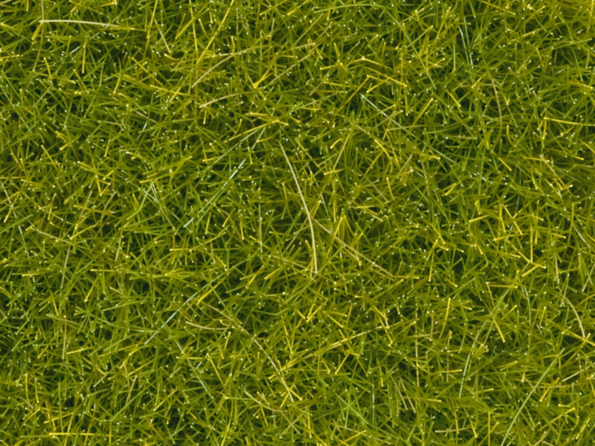 Noch 08363 Light Green Scatter Grass - 20 g Bag