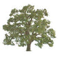 JTT Scenery Products 94349 Z 2" Live Oak Tree (Set of 3)