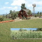 Busch 1202 HO Scale Corn Field Kit (Bag of 400 Plants)