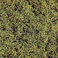 Busch 7311 Fm scatter fine Sprng Grn