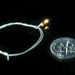 Cir-Kit Concepts 10101822 Bulb GOR w/8" blk 100/