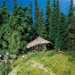 Faller 130299 HO Scale Log Cabin Building Kit