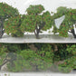 JTT Scenery Products 92122 HO 2"-2.25" Apple Grove Trees (Pack of 6)