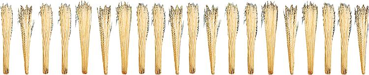 Faller 170716 HO /TT / N Scale Model Rail Reeds (Pack of 20)