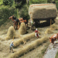 Faller 180561 HO Hay Harvest Model Kit