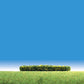 Faller 181399 Hedges Flowering Yellow