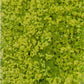 Heki 1550 Light Green 11 x 5-1/2 27.9 x 14 cm Foliage Pad