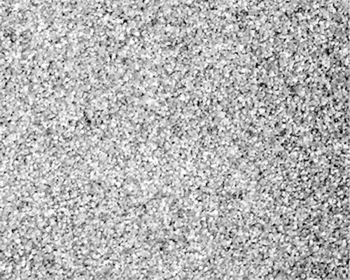 Scenic Express SE0153 #40 Light Gray Ballast - 1 Quart Shaker