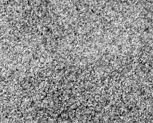 Scenic Express SE0363 HO #50 Blended Gray Ballast #50 - 1 Quart Shaker