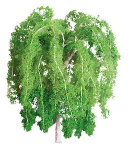 JTT Scenery Products 96019 WEEPING WILLOW 5.5