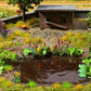 Noch 14052 HO Water & Riverside Plants